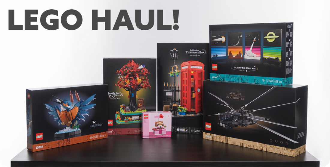 iDisplayit LEGO Haul - February 2024