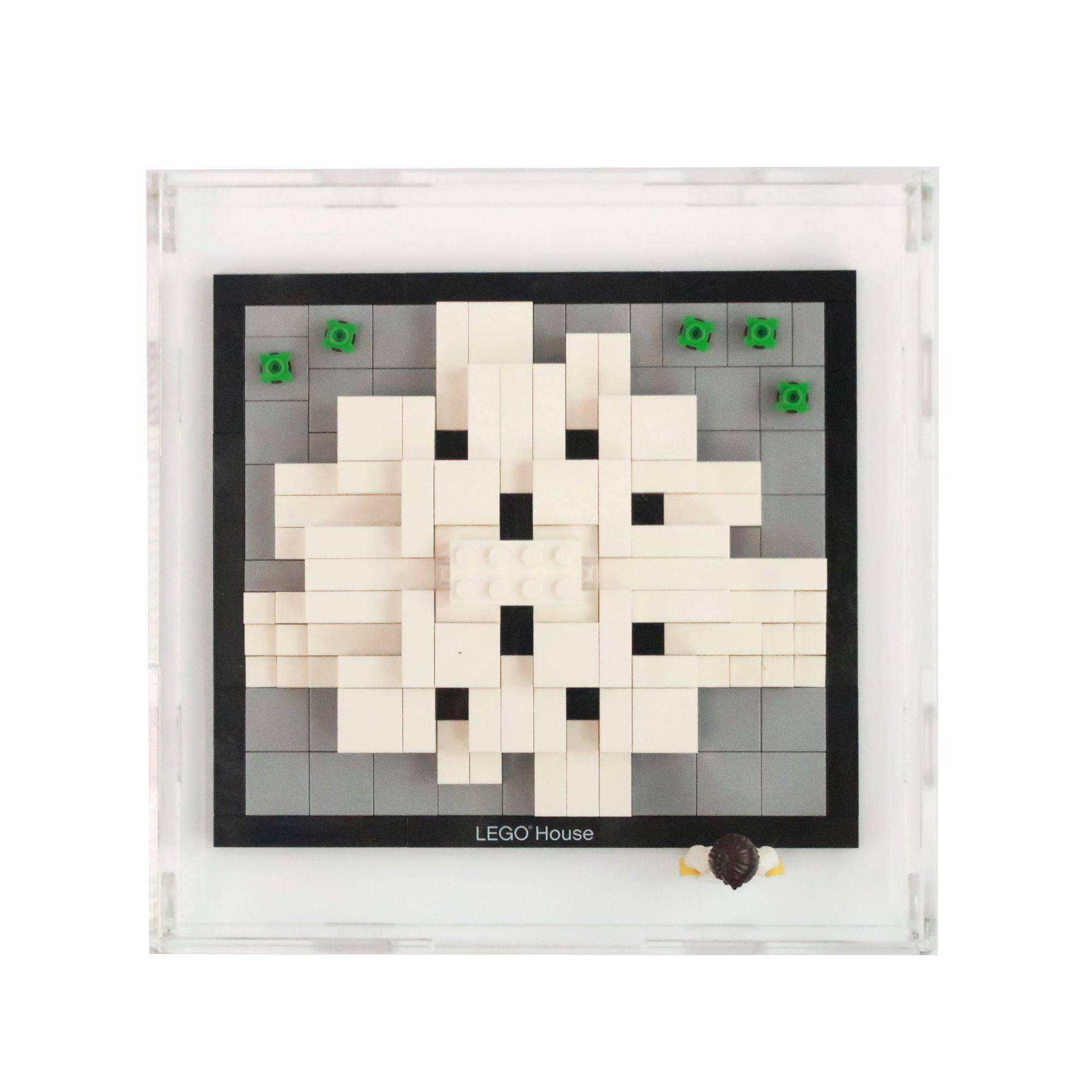 18 x 18 x 6cm Display Case