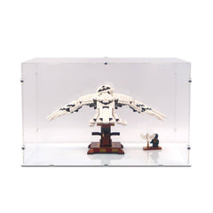 39 x 26 x 24cm Display Case