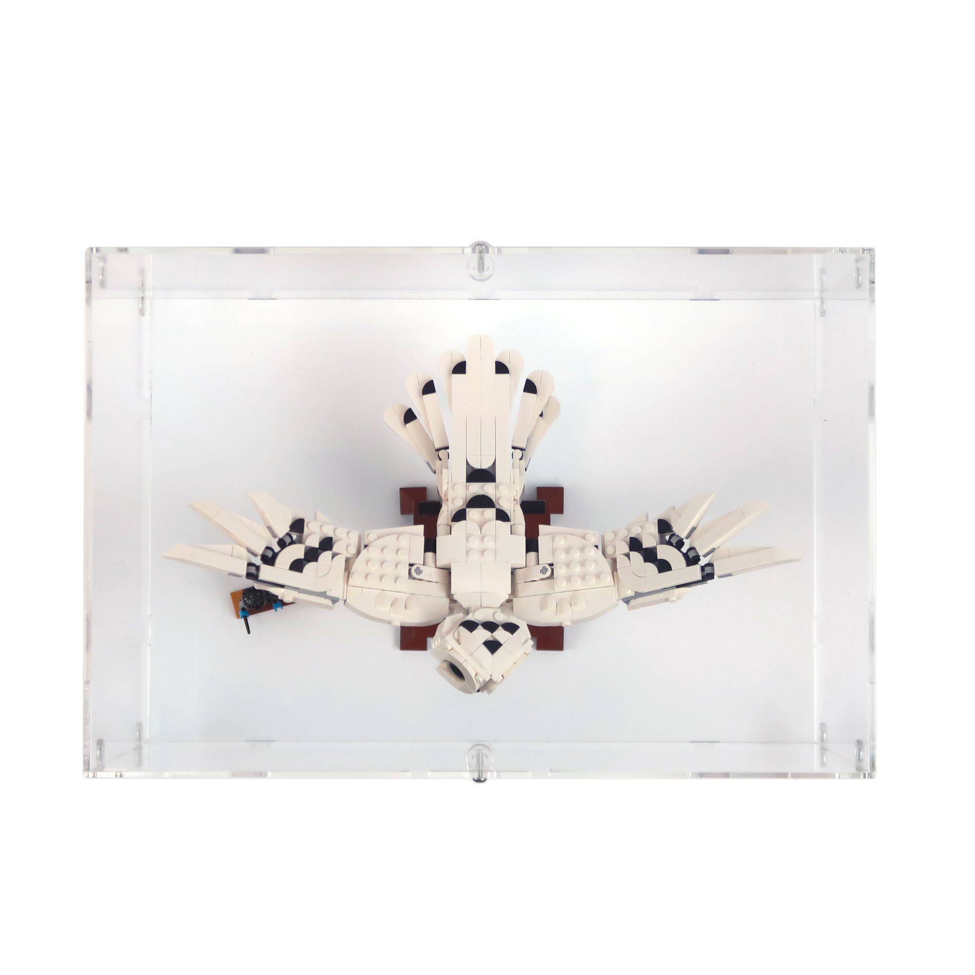 39 x 26 x 24cm Display Case