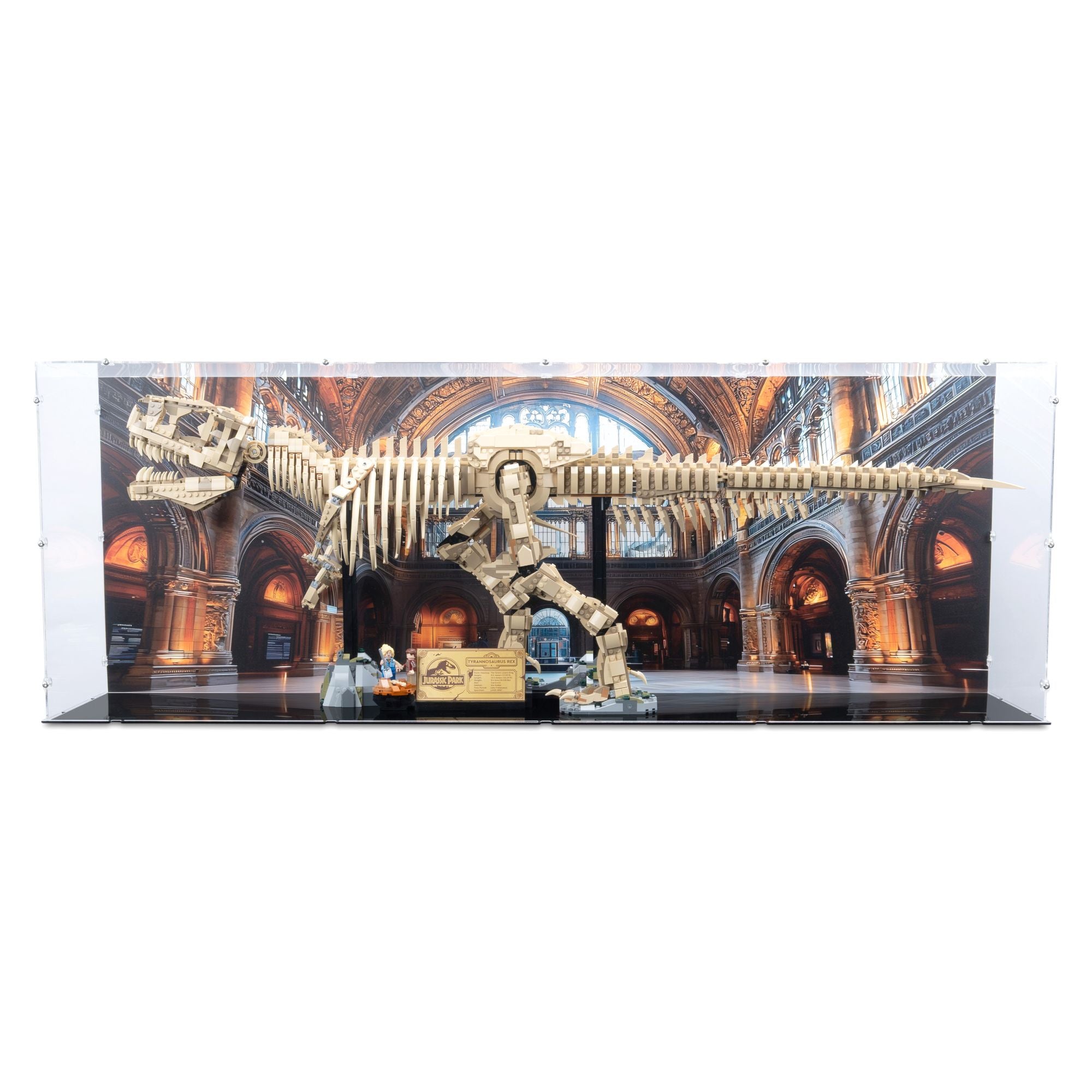 Dinosaur Fossils: Tyrannosaurus Rex Display Case for LEGO 76968