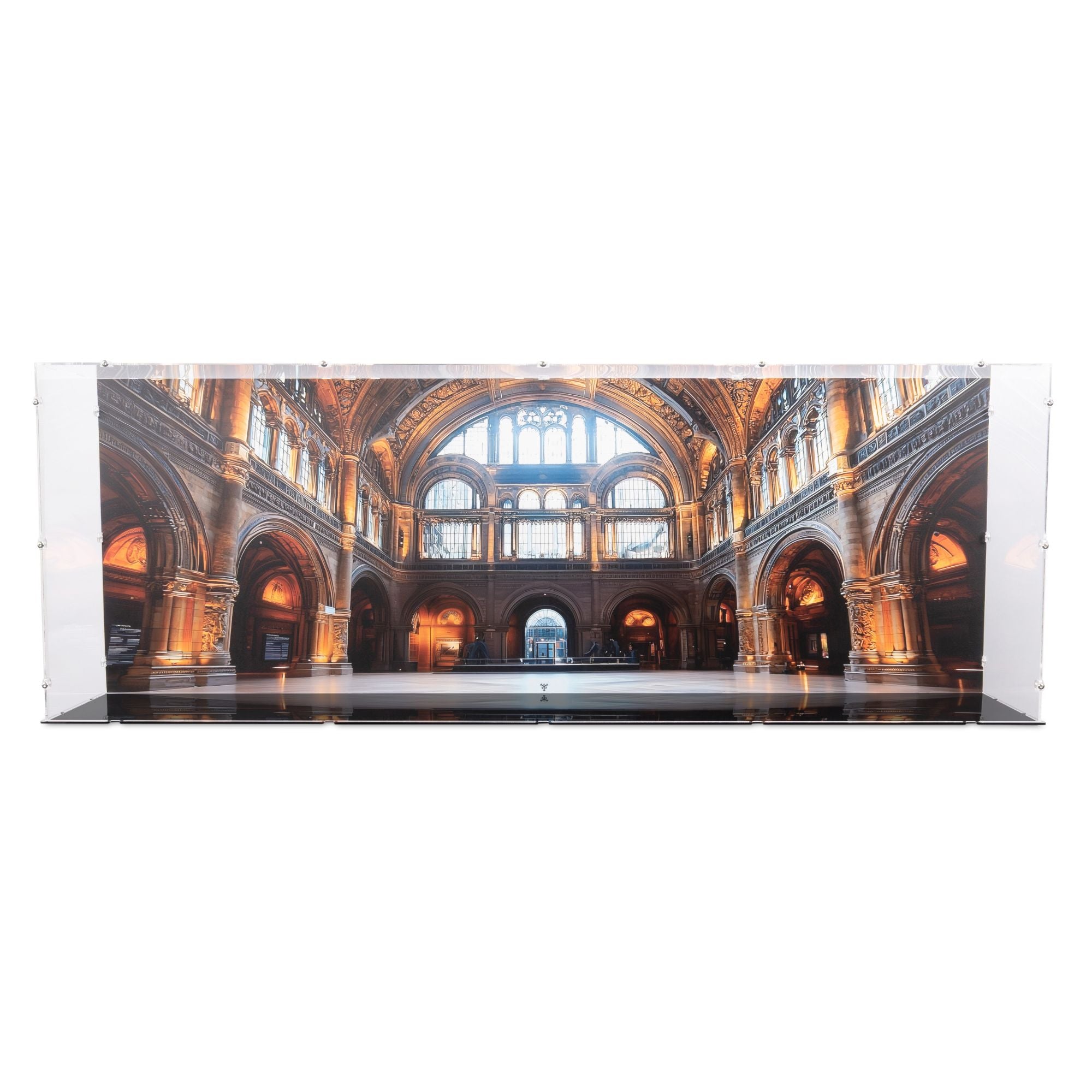 Dinosaur Fossils: Tyrannosaurus Rex Display Case for LEGO 76968