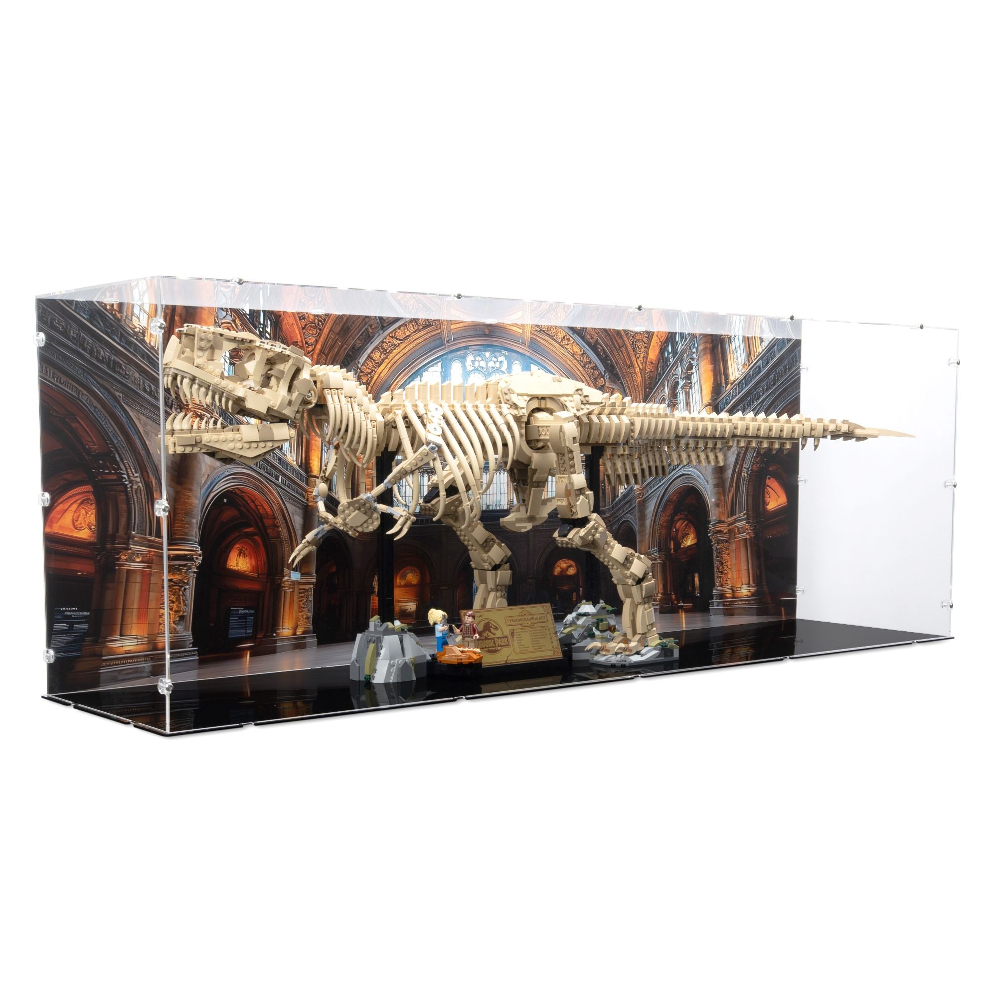 Dinosaur Fossils: Tyrannosaurus Rex Display Case for LEGO 76968