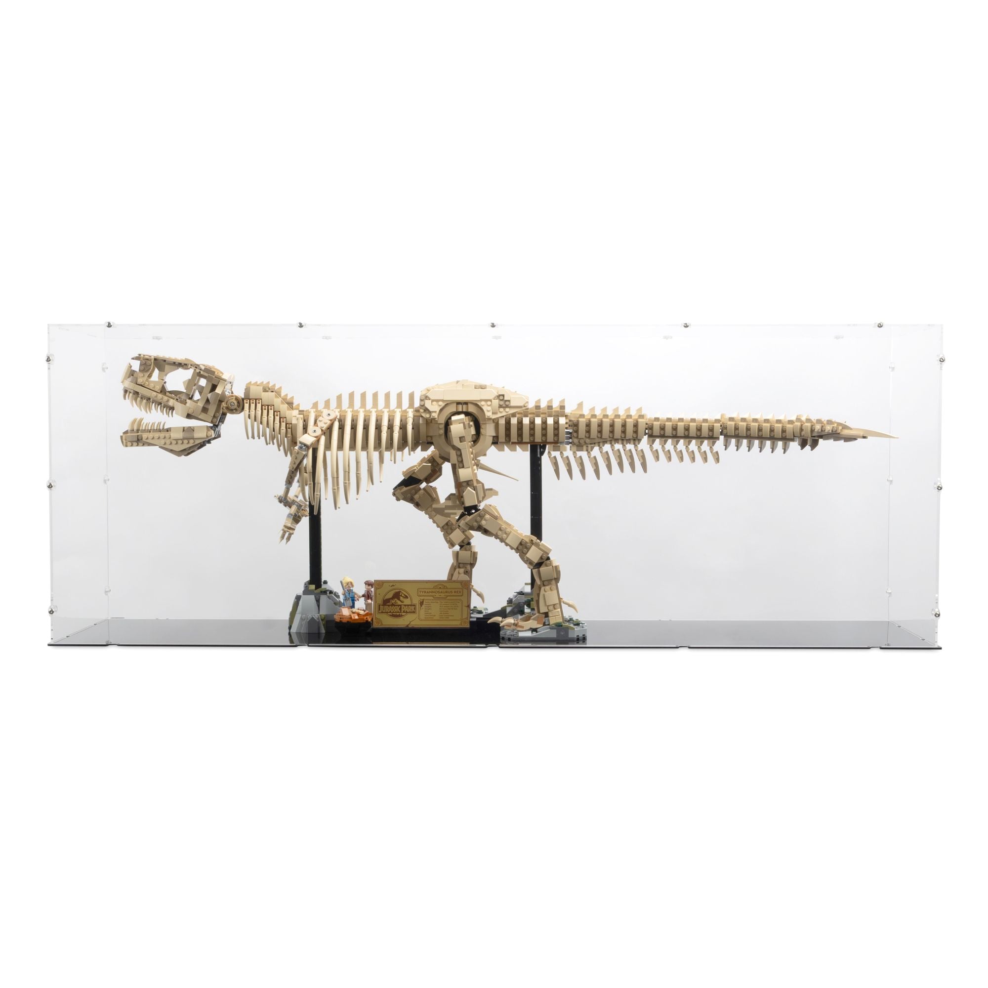 Dinosaur Fossils: Tyrannosaurus Rex Display Case for LEGO 76968