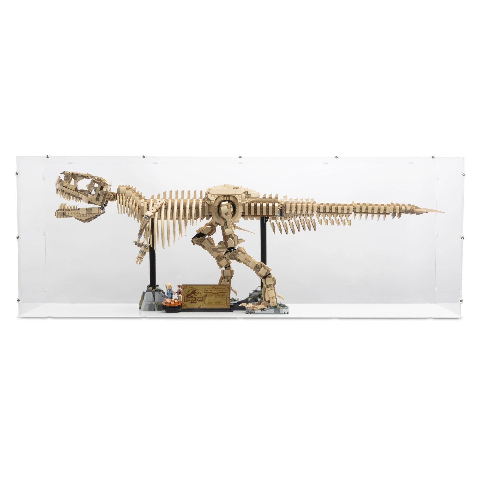 Dinosaur Fossils: Tyrannosaurus Rex Display Case for LEGO 76968