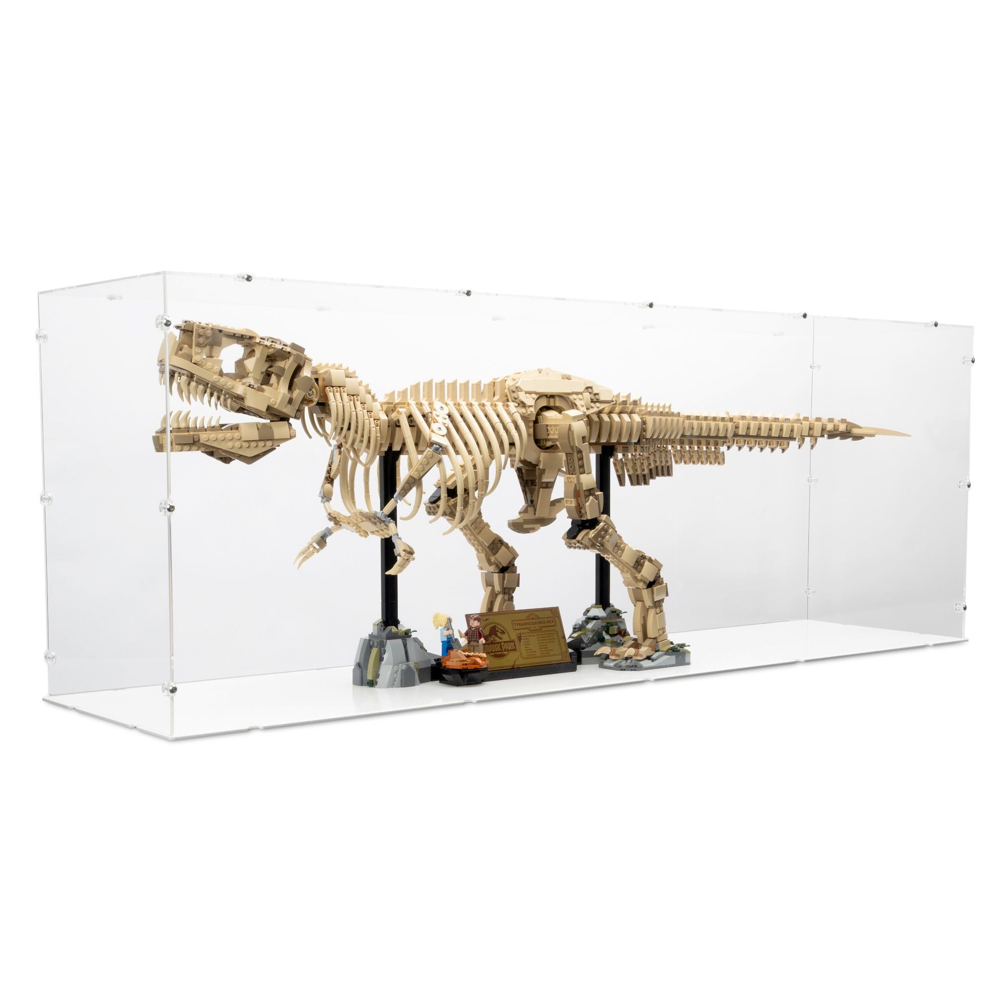Dinosaur Fossils: Tyrannosaurus Rex Display Case for LEGO 76968