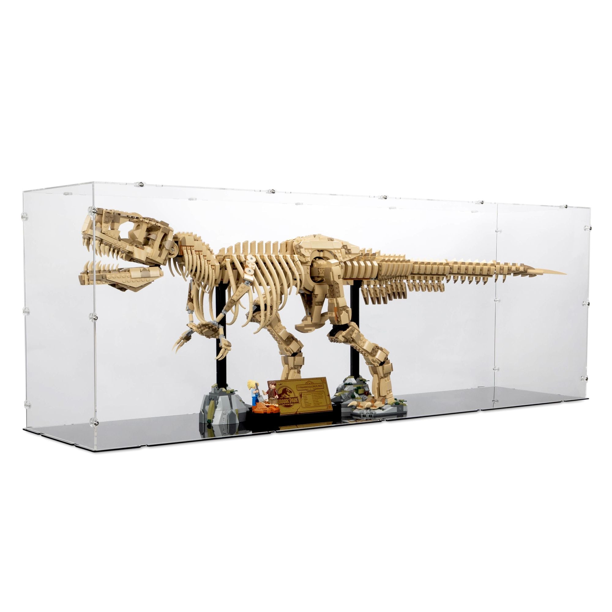 Dinosaur Fossils: Tyrannosaurus Rex Display Case for LEGO 76968