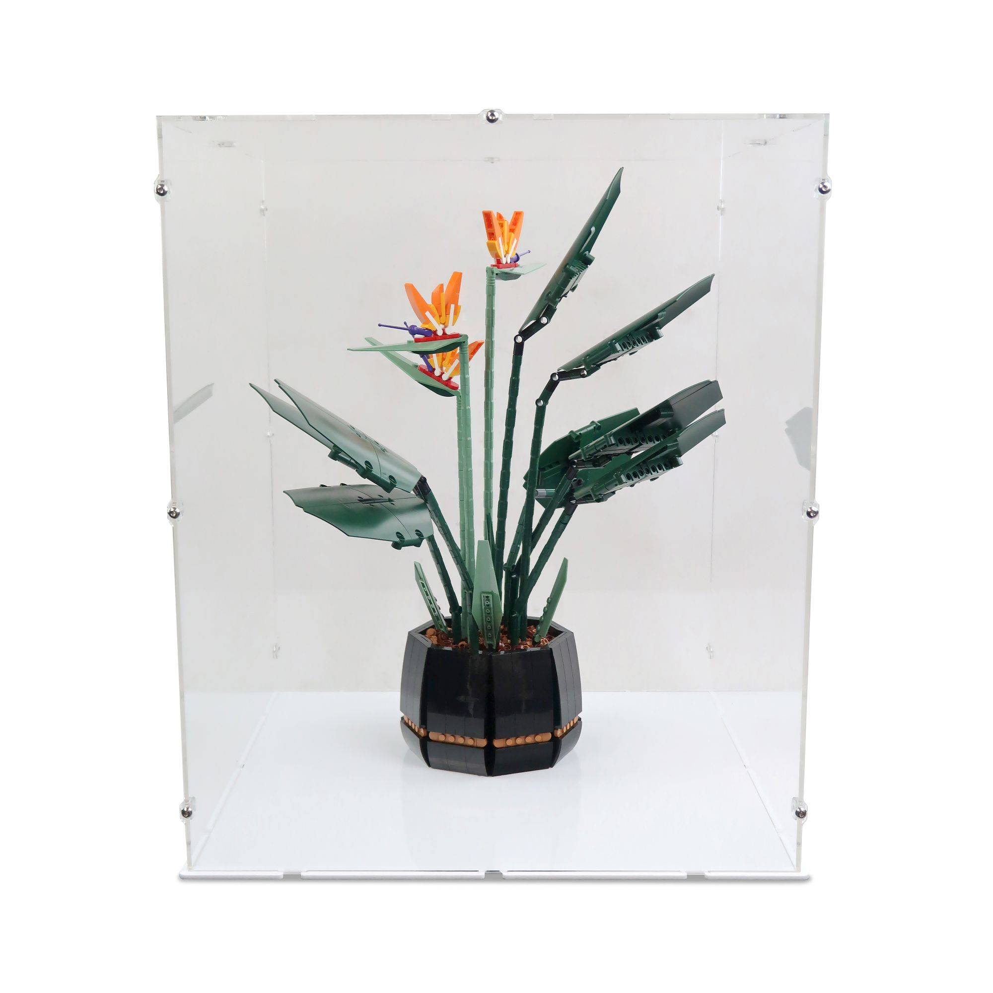 Bird of Paradise Display Case for LEGO 10289