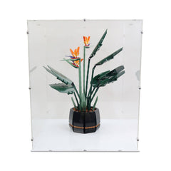 Bird of Paradise Display Case for LEGO 10289