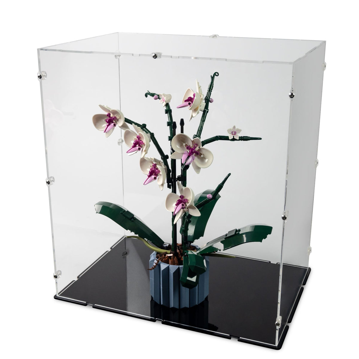 Orchid Display Case for LEGO 10311