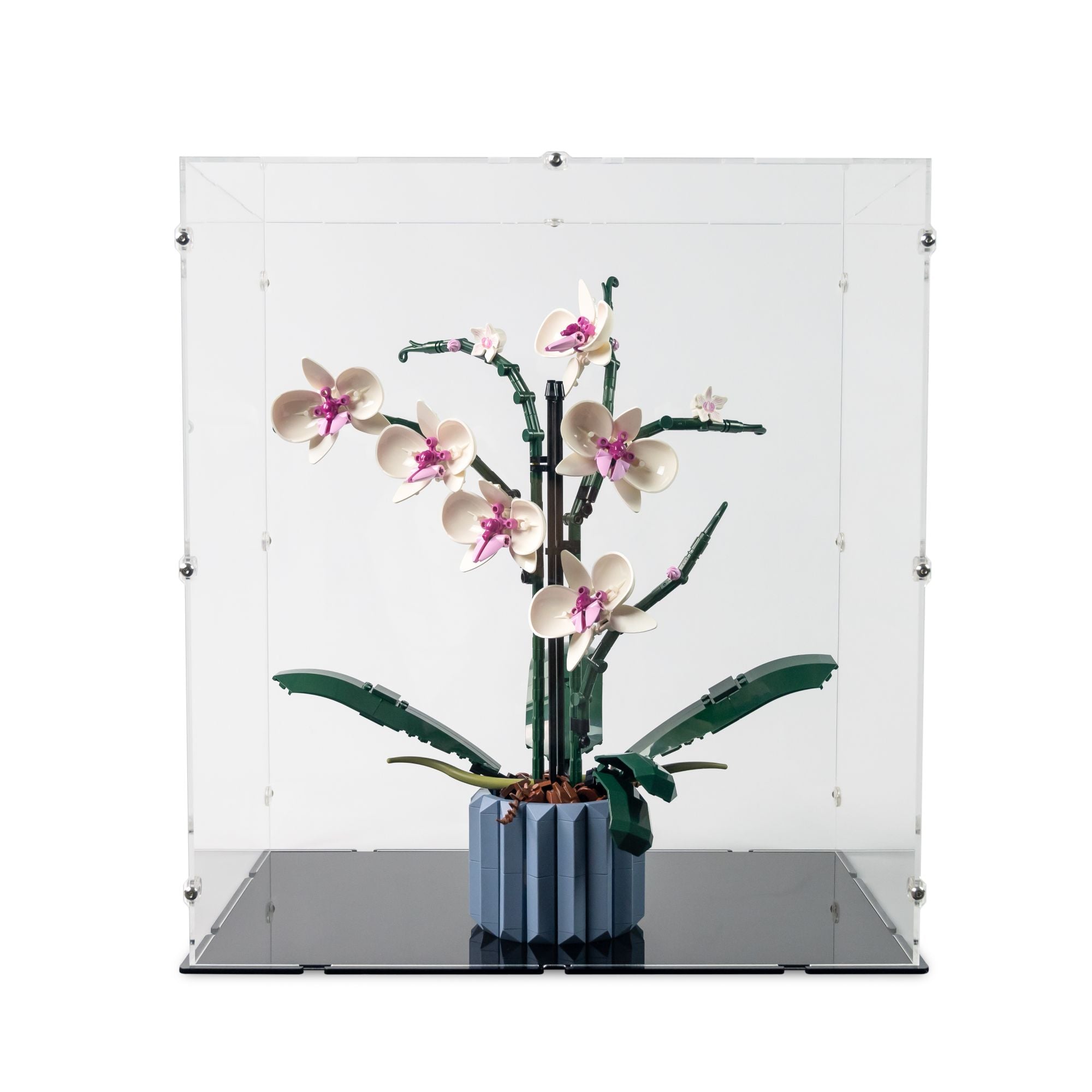 Orchid Display Case for LEGO 10311