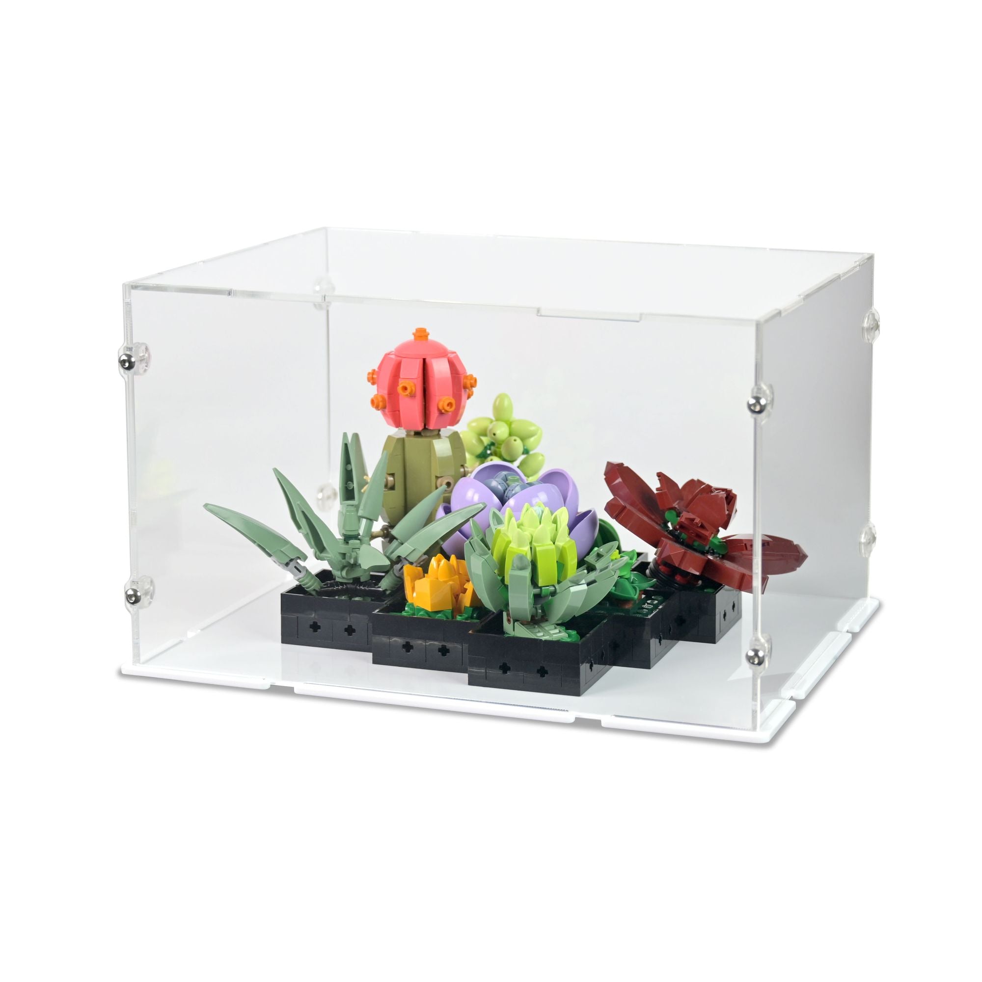 Succulents Display Case for LEGO 10309