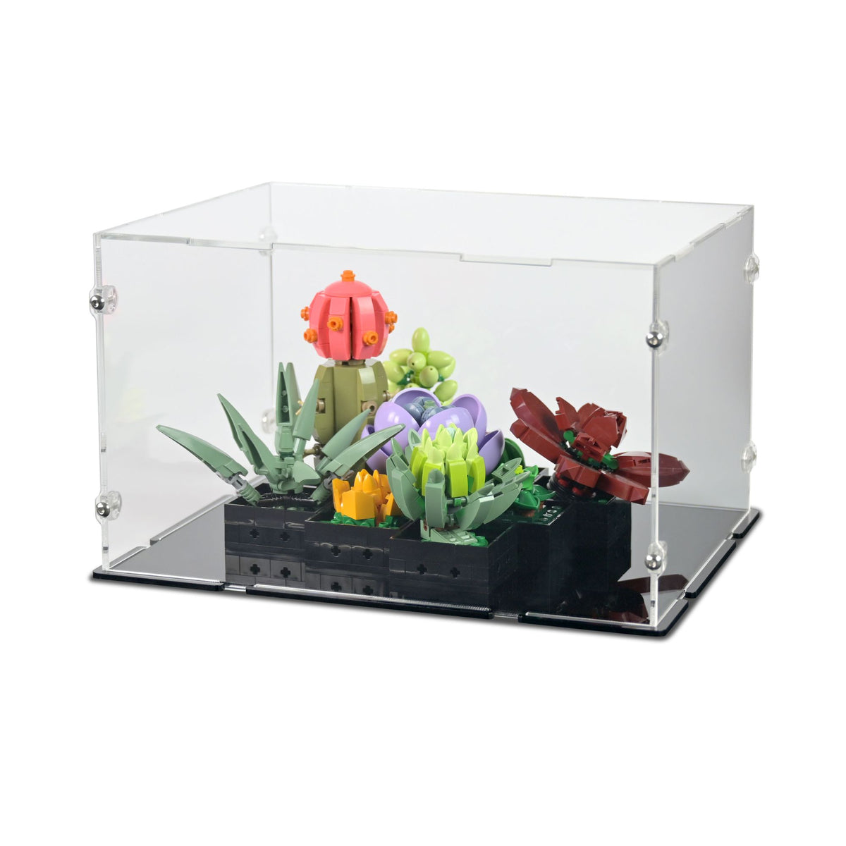 Succulents Display Case for LEGO 10309